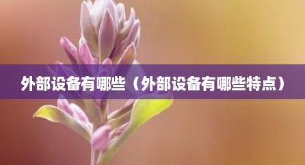 外部设备有哪些（外部设备有哪些特点）