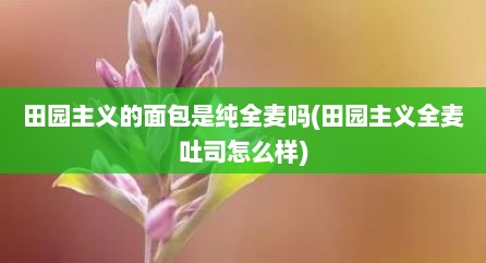 田园主义的面包是纯全麦吗(田园主义全麦吐司怎么样)
