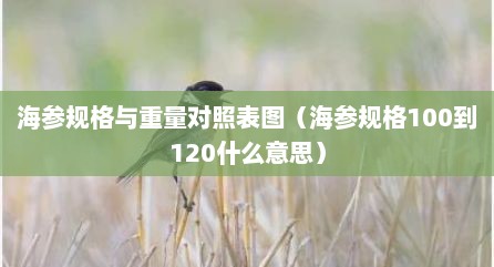 海参规格与重量对照表图（海参规格100到120什么意思）