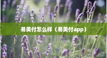 易美付怎么样（易美付app）