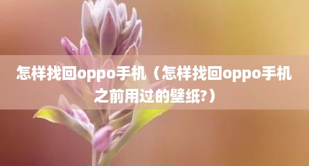怎样找回oppo手机（怎样找回oppo手机之前用过的壁纸?）