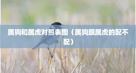 属狗和属虎对照表图（属狗跟属虎的配不配）