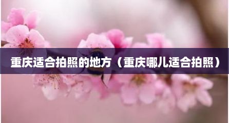 重庆适合拍照的地方（重庆哪儿适合拍照）