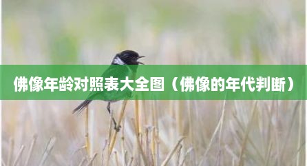 佛像年龄对照表大全图（佛像的年代判断）