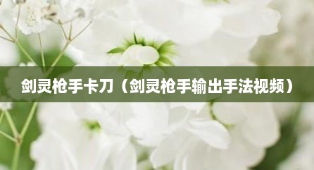 剑灵枪手卡刀（剑灵枪手输出手法视频）