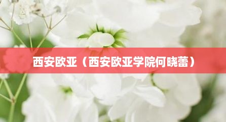 西安欧亚（西安欧亚学院何晓蕾）