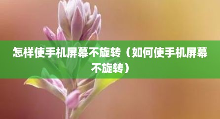 怎样使手机屏幕不旋转（如何使手机屏幕不旋转）