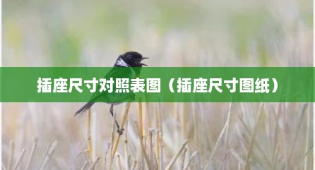 插座尺寸对照表图（插座尺寸图纸）