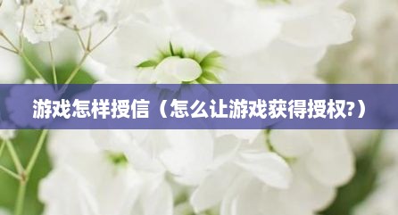 游戏怎样授信（怎么让游戏获得授权?）
