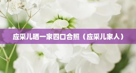 应采儿晒一家四口合照（应采儿家人）