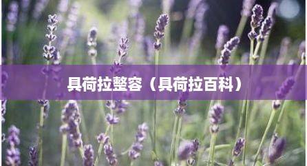 具荷拉整容（具荷拉百科）