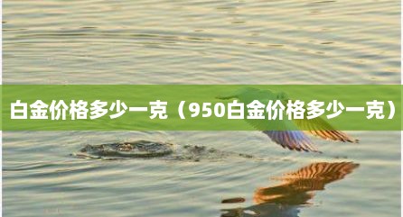 白金价格多少一克（950白金价格多少一克）