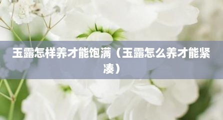 玉露怎样养才能饱满（玉露怎么养才能紧凑）