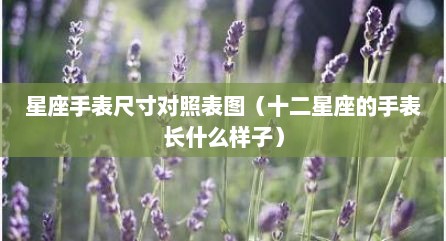 星座手表尺寸对照表图（十二星座的手表长什么样子）