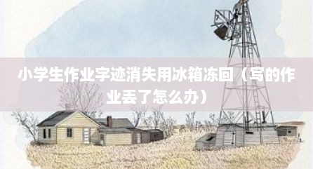 小学生作业字迹消失用冰箱冻回（写的作业丢了怎么办）