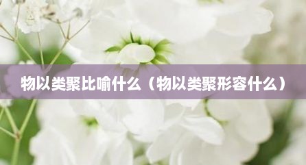 物以类聚比喻什么（物以类聚形容什么）