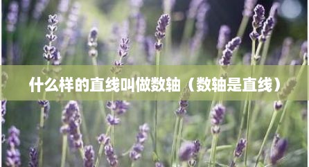 什么样的直线叫做数轴（数轴是直线）