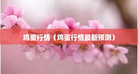 鸡蛋行情（鸡蛋行情最新预测）