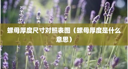 螺母厚度尺寸对照表图（螺母厚度是什么意思）