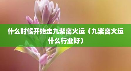 什么时候开始走九紫离火运（九紫离火运什么行业好）