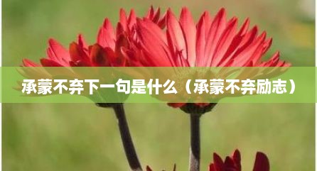 承蒙不弃下一句是什么（承蒙不弃励志）
