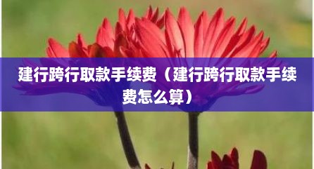 建行跨行取款手续费（建行跨行取款手续费怎么算）
