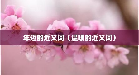 年迈的近义词（温暖的近义词）