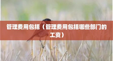 管理费用包括（管理费用包括哪些部门的工资）