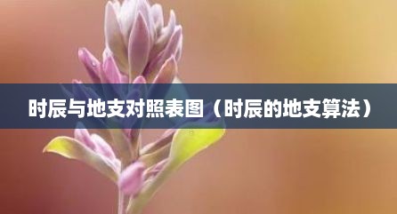 时辰与地支对照表图（时辰的地支算法）