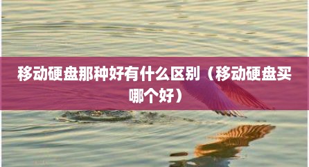 移动硬盘那种好有什么区别（移动硬盘买哪个好）