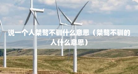 说一个人桀骜不驯什么意思（桀骜不驯的人什么意思）