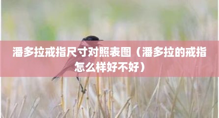 潘多拉戒指尺寸对照表图（潘多拉的戒指怎么样好不好）