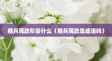 精兵简政形容什么（精兵简政是成语吗）