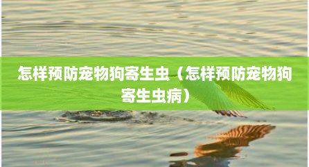 怎样预防宠物狗寄生虫（怎样预防宠物狗寄生虫病）