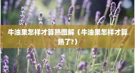 牛油果怎样才算熟图解（牛油果怎样才算熟了?）