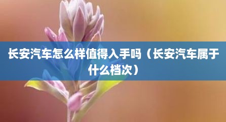 长安汽车怎么样值得入手吗（长安汽车属于什么档次）