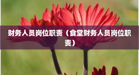 财务人员岗位职责（食堂财务人员岗位职责）