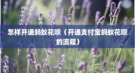 怎样开通蚂蚁花呗（开通支付宝蚂蚁花呗的流程）