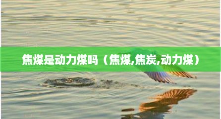 焦煤是动力煤吗（焦煤,焦炭,动力煤）