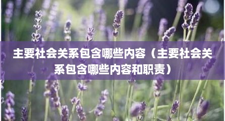 主要社会关系包含哪些内容（主要社会关系包含哪些内容和职责）