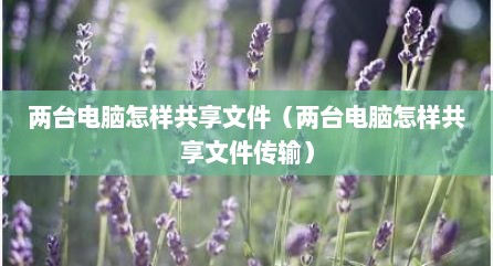 两台电脑怎样共享文件（两台电脑怎样共享文件传输）
