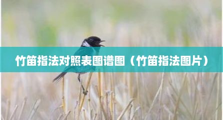 竹笛指法对照表图谱图（竹笛指法图片）