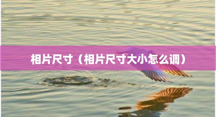 相片尺寸（相片尺寸大小怎么调）