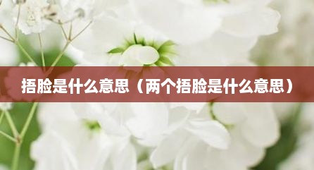 捂脸是什么意思（两个捂脸是什么意思）