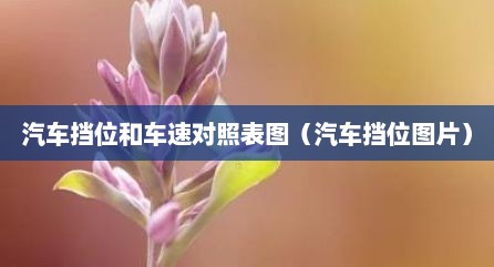 汽车挡位和车速对照表图（汽车挡位图片）