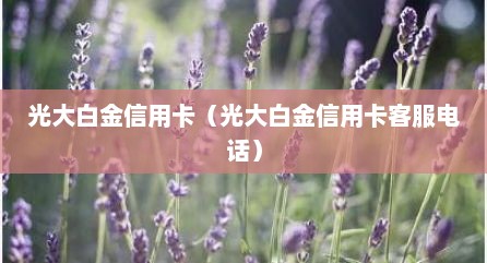 光大白金信用卡（光大白金信用卡客服电话）