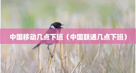 中国移动几点下班（中国联通几点下班）