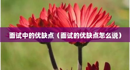 面试中的优缺点（面试的优缺点怎么说）