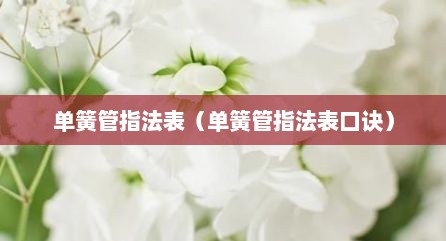 单簧管指法表（单簧管指法表口诀）