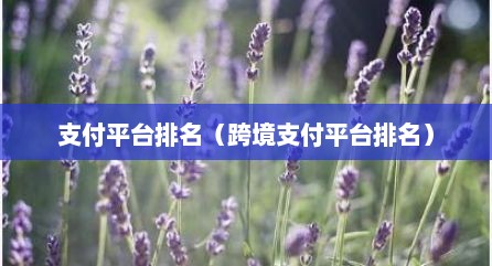 支付平台排名（跨境支付平台排名）